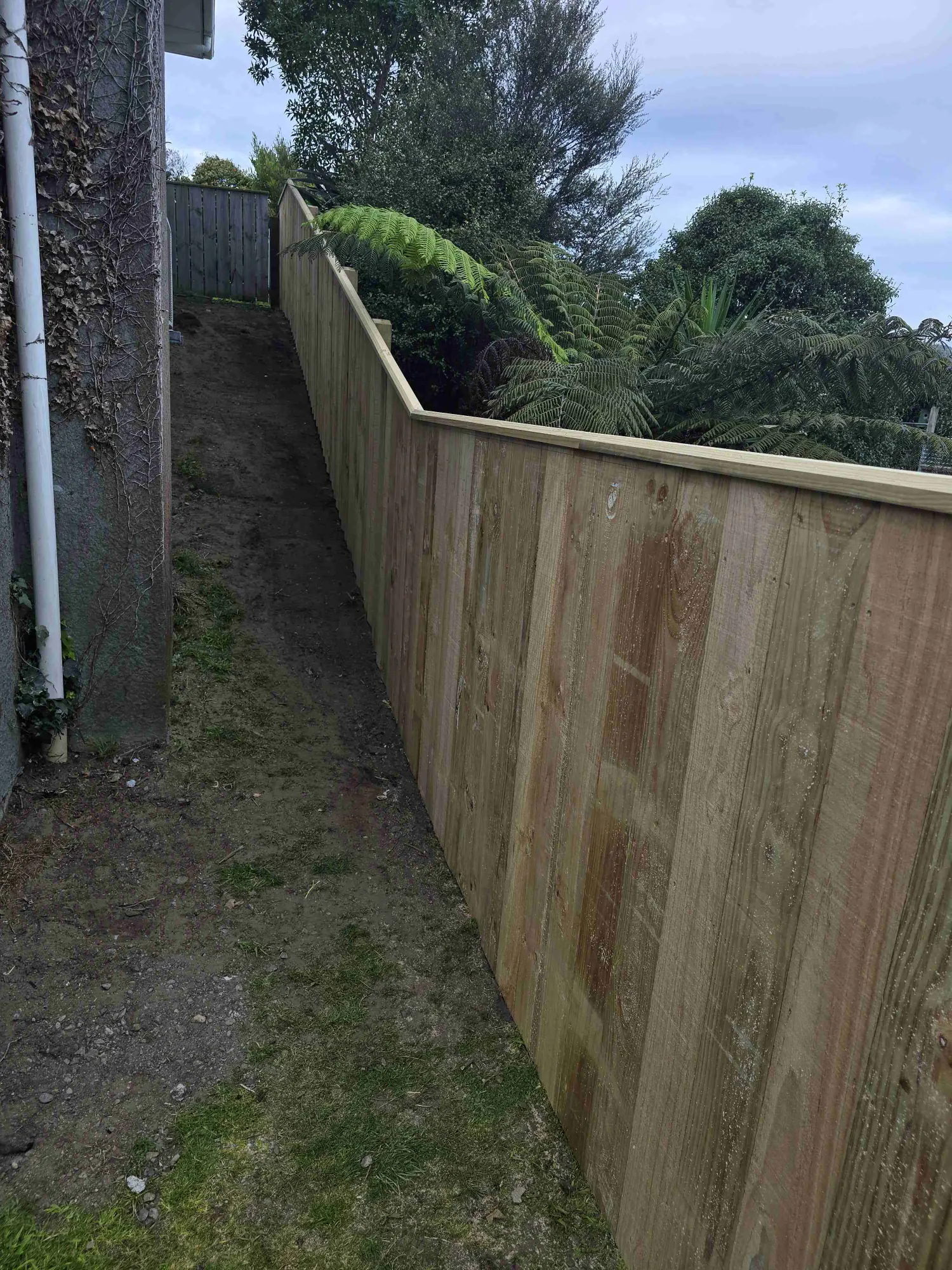 Fence painting project